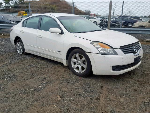 1N4CL21E89C138882 - 2009 NISSAN ALTIMA HYB WHITE photo 1