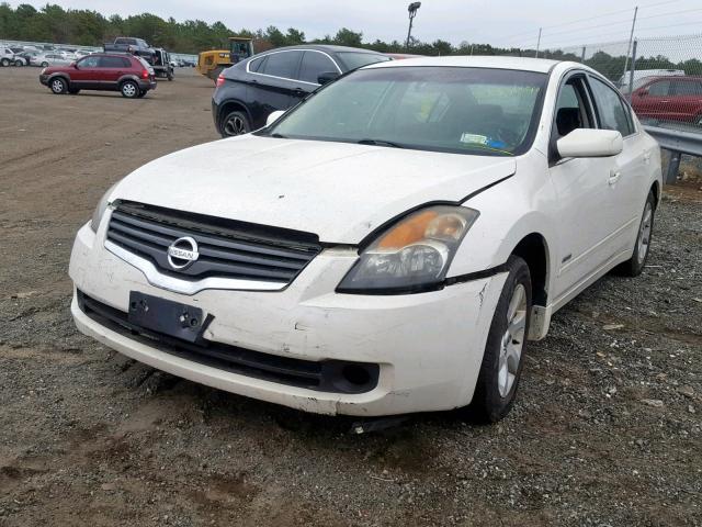 1N4CL21E89C138882 - 2009 NISSAN ALTIMA HYB WHITE photo 2