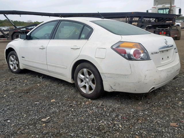 1N4CL21E89C138882 - 2009 NISSAN ALTIMA HYB WHITE photo 3