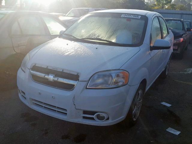 KL1TG5DE9BB245695 - 2011 CHEVROLET AVEO LT WHITE photo 2