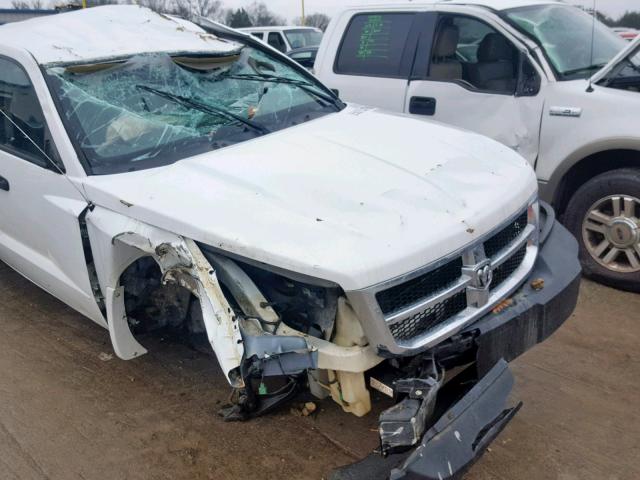 1D7HW28K48S590924 - 2008 DODGE DAKOTA QUA WHITE photo 9