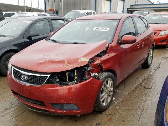 KNAFU5A23B5325885 - 2011 KIA FORTE EX RED photo 2