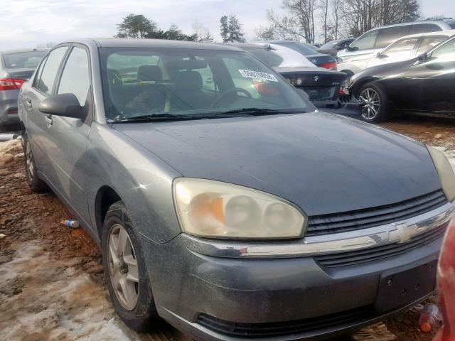 1G1ZT52865F130733 - 2005 CHEVROLET MALIBU LS ნაცრისფერი ფოტო 1