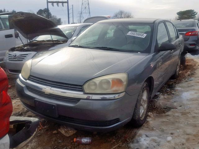 1G1ZT52865F130733 - 2005 CHEVROLET MALIBU LS ნაცრისფერი ფოტო 2