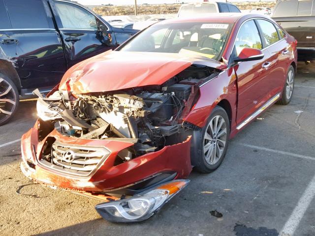 5NPE34AF2GH410559 - 2016 HYUNDAI SONATA SPO RED photo 2