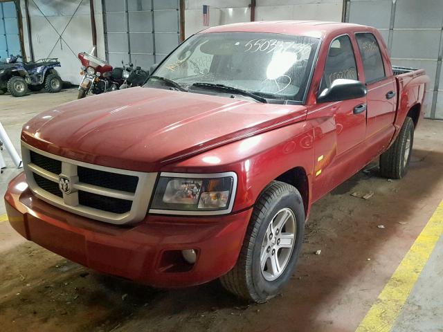 1D7CE3GK8AS105937 - 2010 DODGE DAKOTA SXT RED photo 2