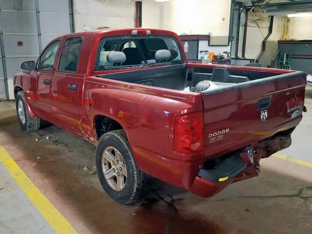 1D7CE3GK8AS105937 - 2010 DODGE DAKOTA SXT RED photo 3