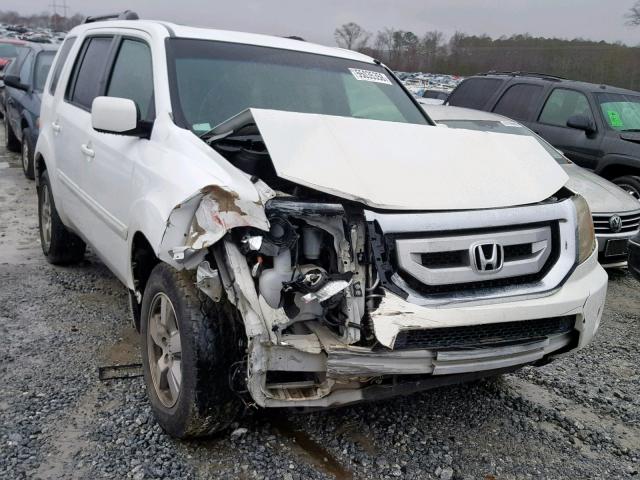 5FNYF3H55AB018483 - 2010 HONDA PILOT EXL WHITE photo 1