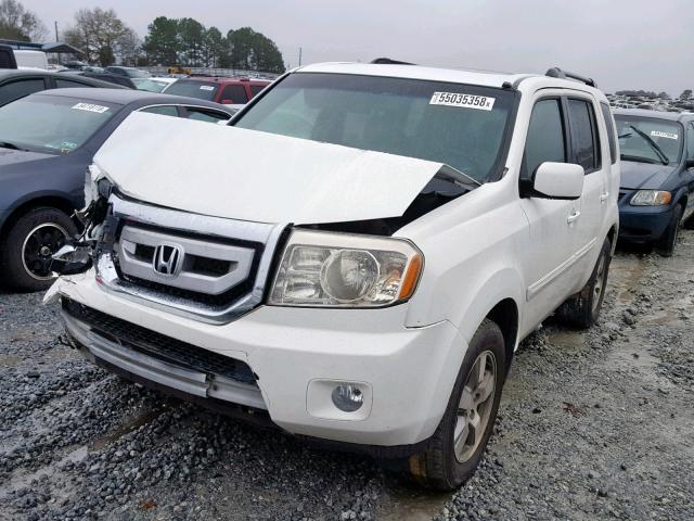 5FNYF3H55AB018483 - 2010 HONDA PILOT EXL WHITE photo 2