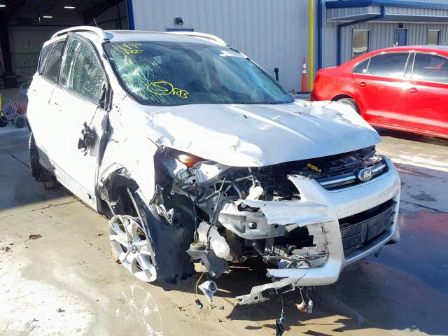 1FMCU0JX5EUB58231 - 2014 FORD ESCAPE TIT SILVER photo 1