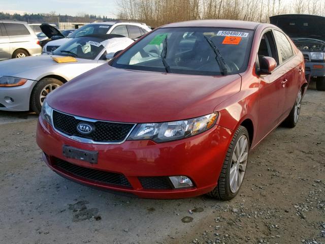 KNAFW4A39A5050714 - 2010 KIA FORTE SX RED photo 2