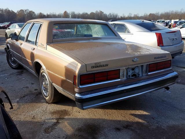 1G1BU51H0HX112677 - 1987 CHEVROLET CAPRICE CL GOLD photo 3