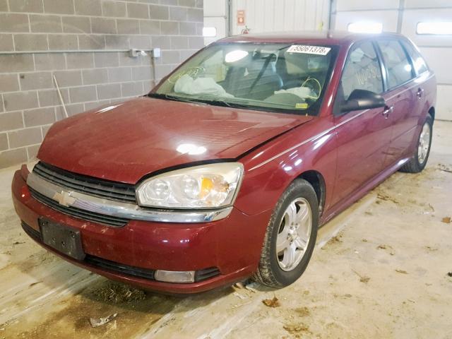 1G1ZU64865F153185 - 2005 CHEVROLET MALIBU MAX მუქწითელი ფოტო 2