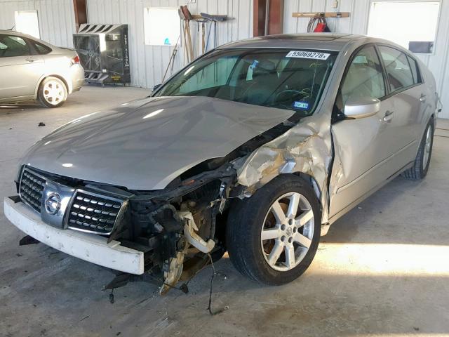 1N4BA41E96C818461 - 2006 NISSAN MAXIMA SE SILVER photo 2