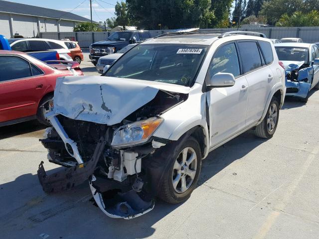 2T3YF4DV5BW066234 - 2011 TOYOTA RAV4 LIMIT WHITE photo 2