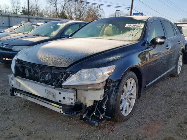 JTHCL5EF4C5013306 - 2012 LEXUS LS 460 BLACK photo 2