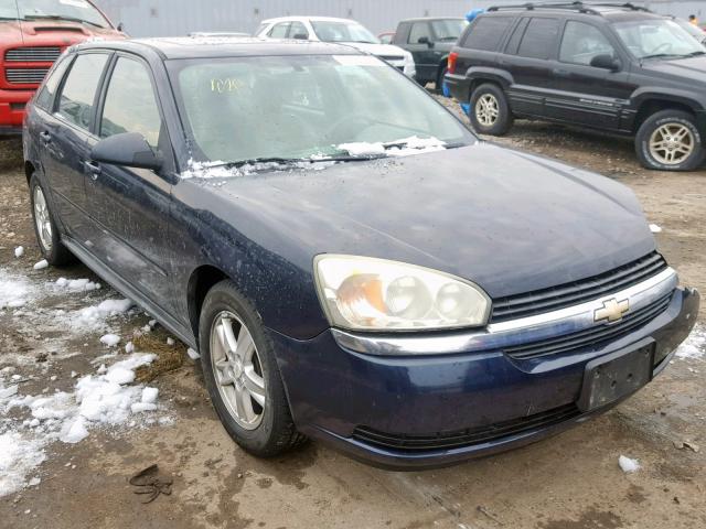 1G1ZT64825F221565 - 2005 CHEVROLET MALIBU MAX ლურჯი ფოტო 1