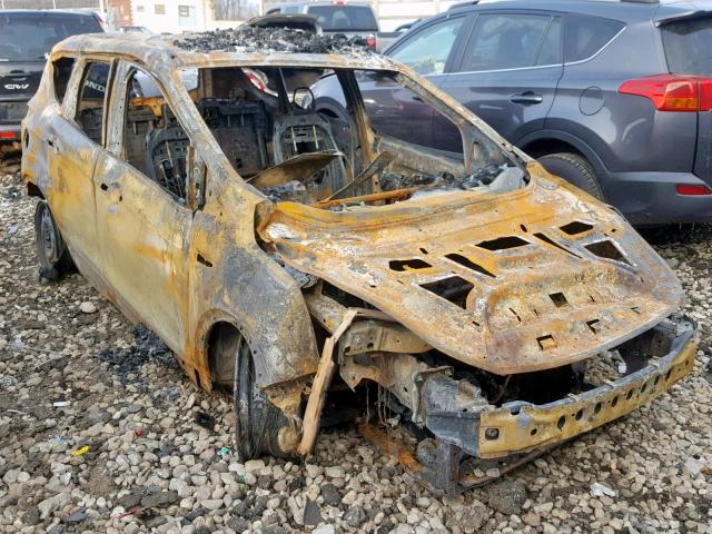 1FMCU0F77FUB40601 - 2015 FORD ESCAPE S BURN photo 1