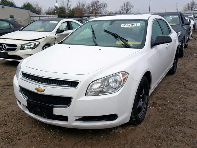 1G1ZA5EU2BF357508 - 2011 CHEVROLET MALIBU LS თეთრი ფოტო 2