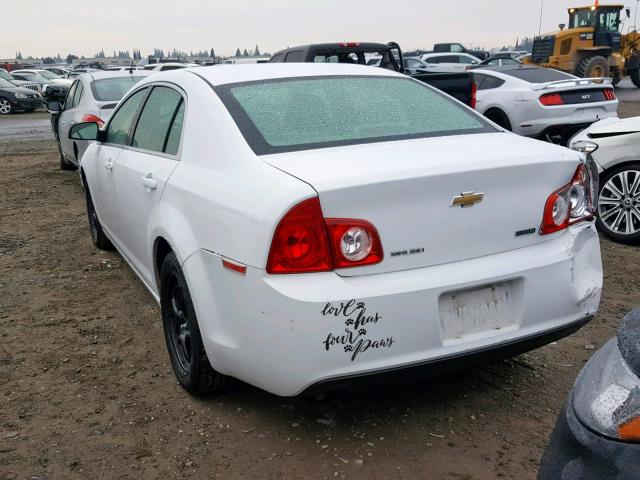 1G1ZA5EU2BF357508 - 2011 CHEVROLET MALIBU LS თეთრი ფოტო 3