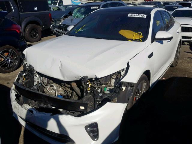 5XXGV4L22GG029836 - 2016 KIA OPTIMA SXL WHITE photo 2