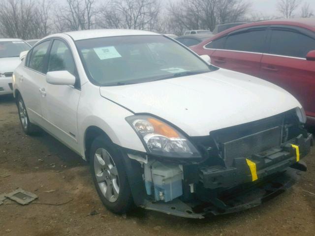 1N4CL21E69C179589 - 2009 NISSAN ALTIMA HYB WHITE photo 1