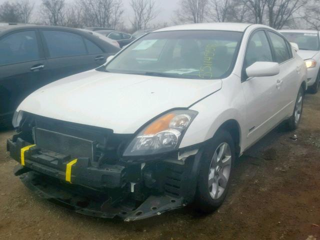 1N4CL21E69C179589 - 2009 NISSAN ALTIMA HYB WHITE photo 2