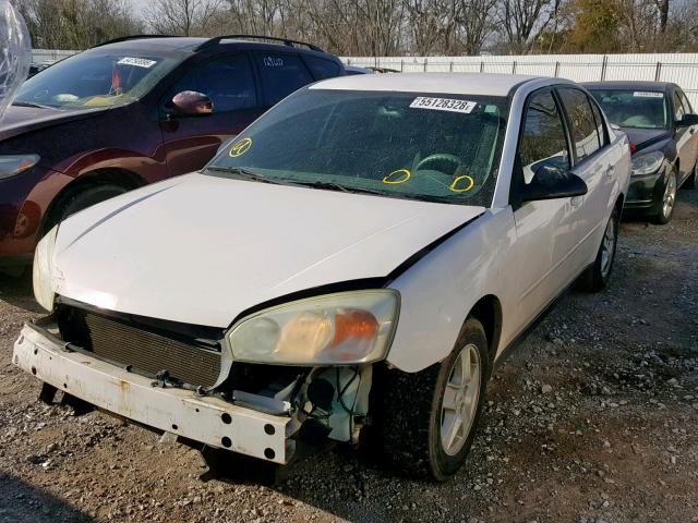 1G1ZT54805F158721 - 2005 CHEVROLET MALIBU LS Ağ foto 2