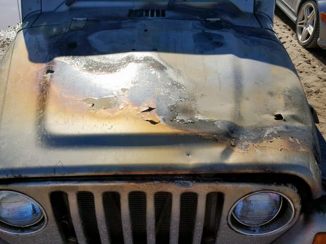 1J4F449S86P725737 - 2006 JEEP WRANGLER / GOLD photo 6