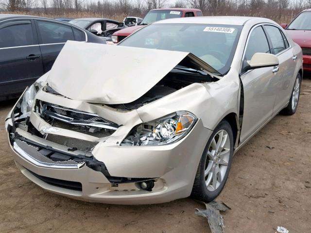 1G1ZE5EB1AF122700 - 2010 CHEVROLET MALIBU LTZ ბეჟი ფოტო 2