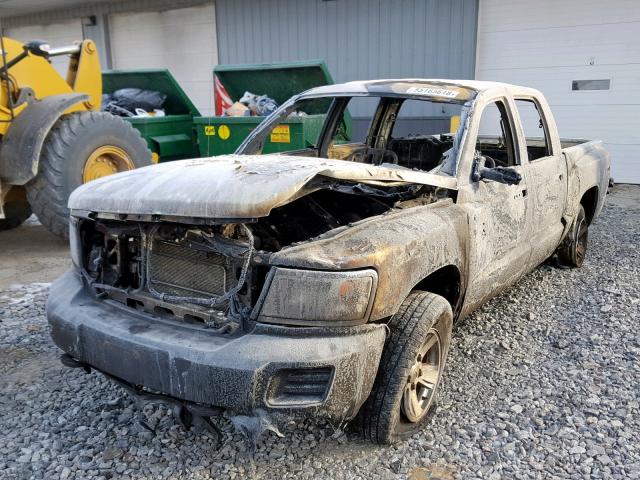 1D3HW38N98S581556 - 2008 DODGE DAKOTA SXT BURN photo 2