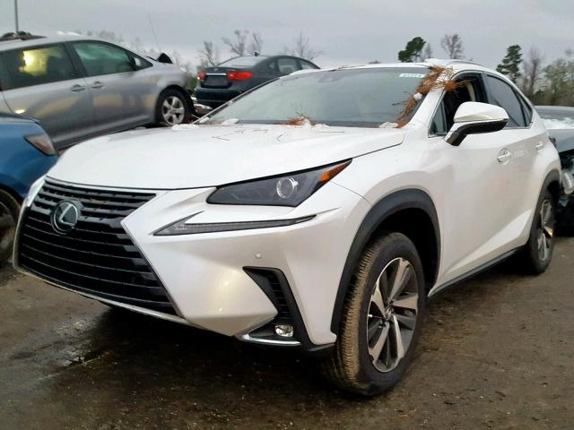 JTJYARBZ0K2128548 - 2019 LEXUS NX 300 WHITE photo 2