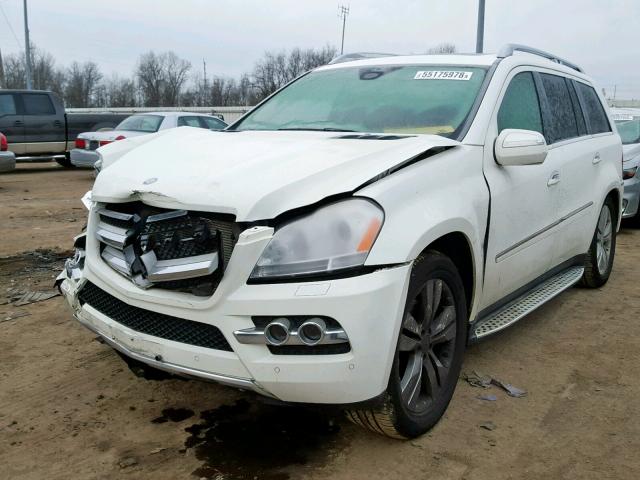 4JGBF7BE3AA565682 - 2010 MERCEDES-BENZ GL 450 4MA WHITE photo 2