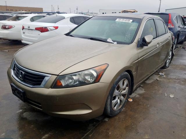 JHMCP26828C012743 - 2008 HONDA ACCORD EXL GOLD photo 2