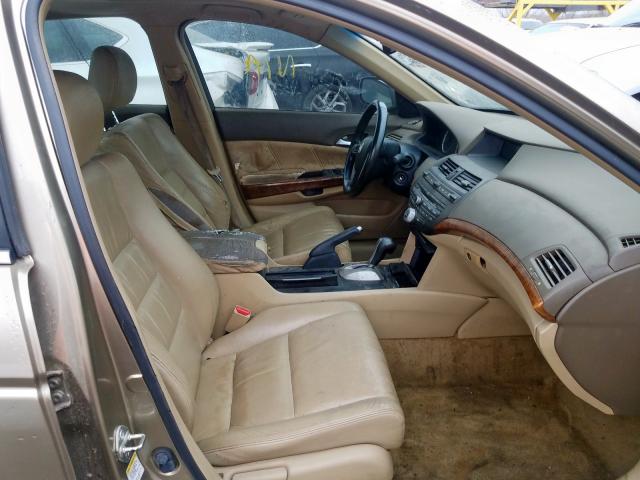 JHMCP26828C012743 - 2008 HONDA ACCORD EXL GOLD photo 5