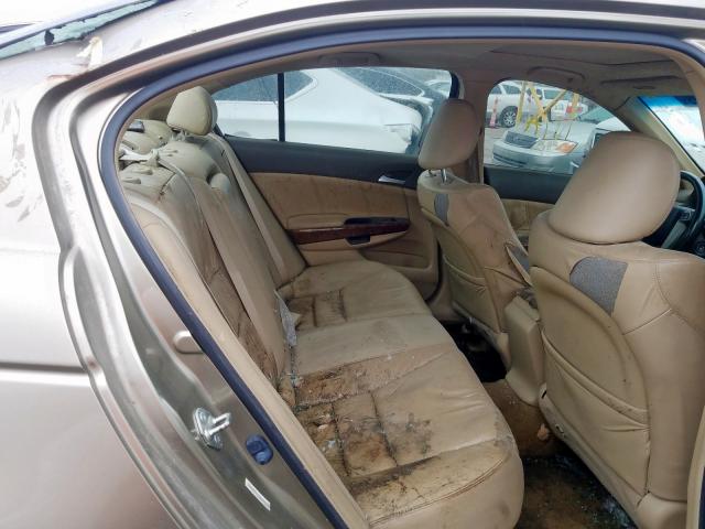 JHMCP26828C012743 - 2008 HONDA ACCORD EXL GOLD photo 6