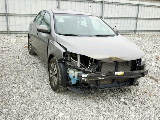 KNAFU4A26D5667778 - 2013 KIA FORTE EX GRAY photo 1