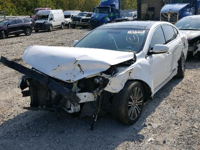 KNALN4D70E5123382 - 2014 KIA CADENZA PR WHITE photo 2