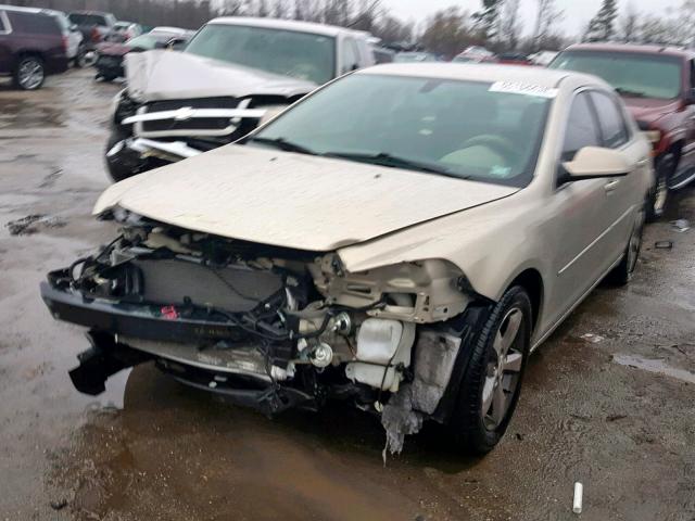 1G1ZC5E10BF239246 - 2011 CHEVROLET MALIBU 1LT 金色 照片 2