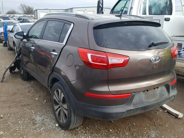 KNDPC3A29B7145166 - 2011 KIA SPORTAGE E BROWN photo 3