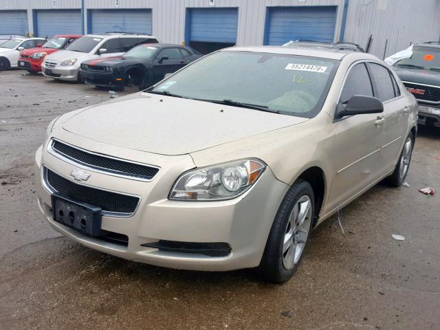 1G1ZA5EU8BF135698 - 2011 CHEVROLET MALIBU LS 金色 照片 2