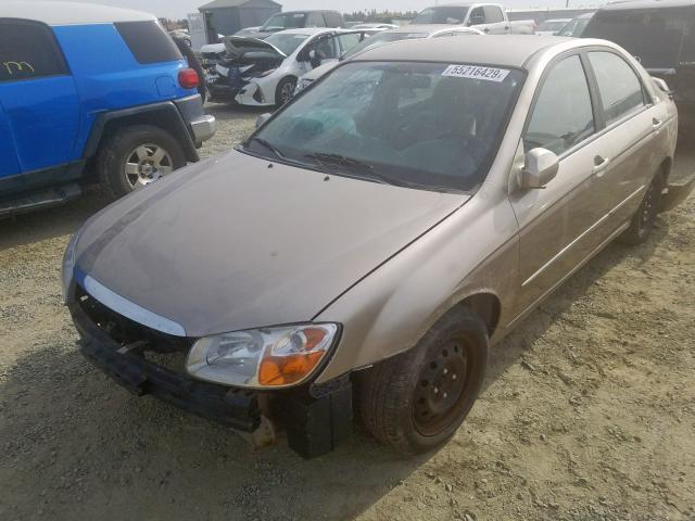 KNAFE122175442568 - 2007 KIA SPECTRA EX TAN photo 2