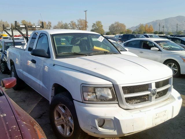 1D7CE3BK7AS179163 - 2010 DODGE DAKOTA SXT WHITE photo 1