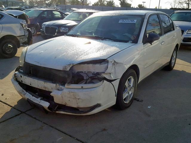 1G1ZT54825F116535 - 2005 CHEVROLET MALIBU LS Ağ foto 2