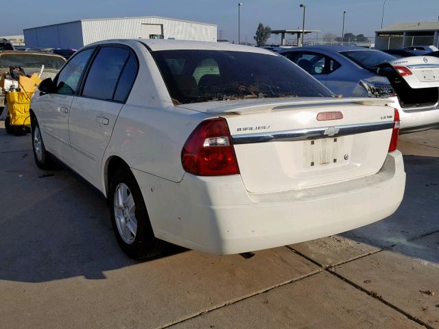 1G1ZT54825F116535 - 2005 CHEVROLET MALIBU LS Ağ foto 3