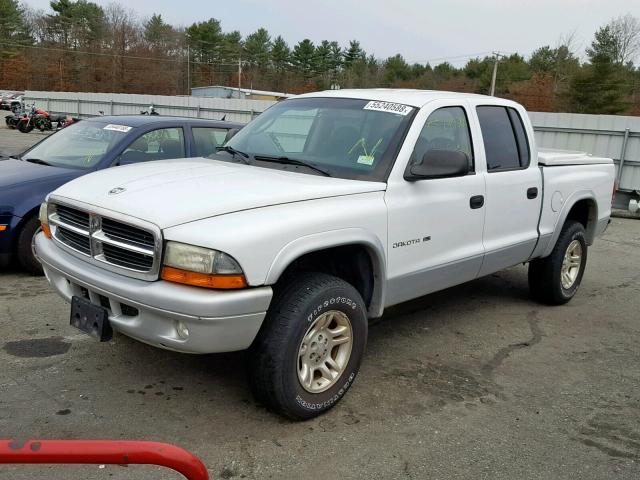 1B7HG48N52S548279 - 2002 DODGE DAKOTA QUA WHITE photo 2