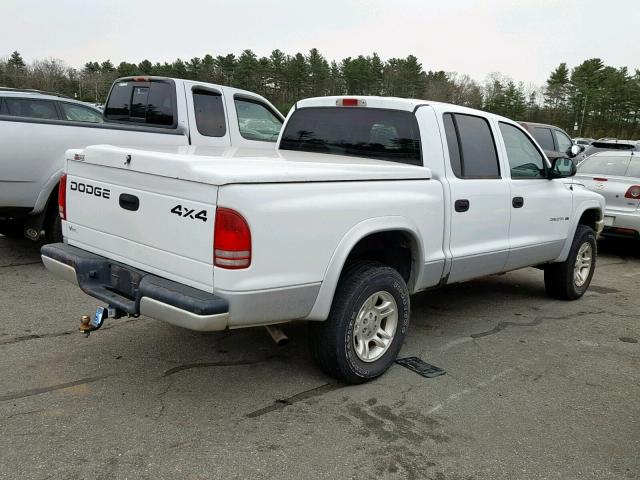 1B7HG48N52S548279 - 2002 DODGE DAKOTA QUA WHITE photo 4