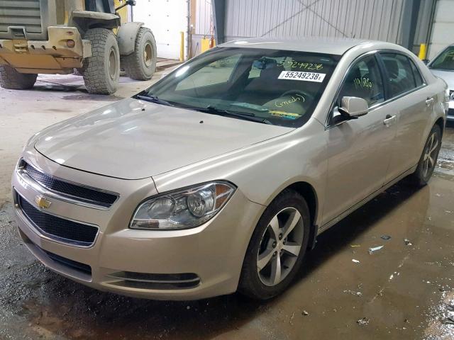 1G1ZC5E12BF360344 - 2011 CHEVROLET MALIBU 1LT 棕色 照片 2