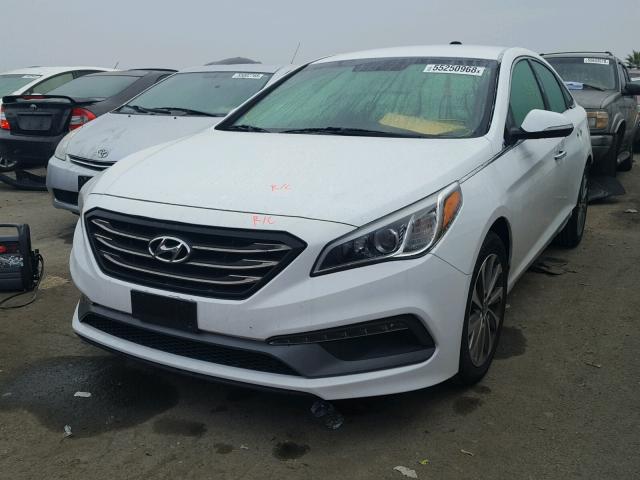 5NPE34AF3FH184661 - 2015 HYUNDAI SONATA SPO WHITE photo 2