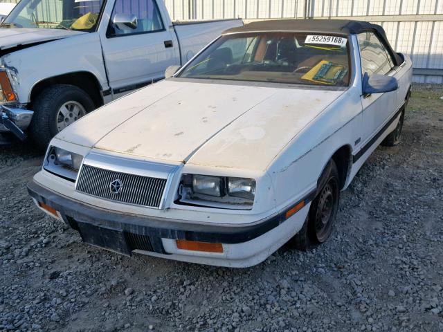 1C3XJ45J4KG128759 - 1989 CHRYSLER LEBARON WHITE photo 2